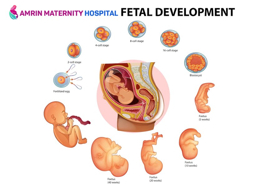 Amrin Maternity Hospital